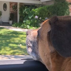 Meet your Posher, Andrew